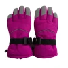 Classic Popular Women Winter Ski Gloves Waterproof Outdoor Sports Gloves