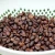 Import Coffee Beans, Premium Quality from Canada