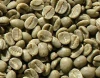 Coffee Green Beans Organic