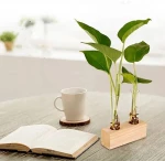 Crystal Glass Double Test Tube Vase in Wooden Stand Flower Pots