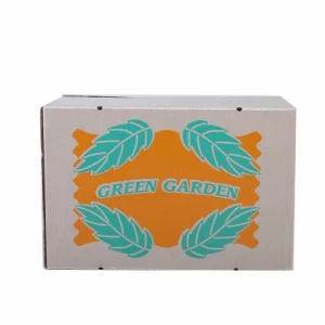 Custom Sturdy Vegetable Fruit Carton Packing Box Corrugated Flavorings Shipping Boxes