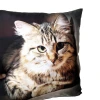 Custom wholesale square Shape Plush Pillow animal Print Cartoon Pillow Soft Stuffed Plush Cushion