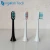 Import Customized Biodegradable All-round Cleaning Replacement Soft Electric Toothbrush Head from China