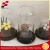 Import D12*H15cm Glass Dome Manufacturer Supplying Different Model Glass Dome Ornaments for Decoration from China