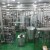 Import dairy processing plant from China