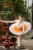 Import DanyiBallet Professional Women Adults Dance Performance Wear Half Ballet Tutu Pancake  7 Layers Training Skirt from China