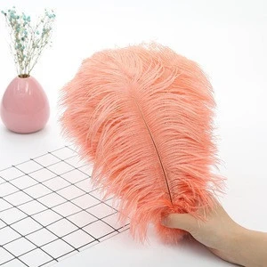 Dazzle Color 25-30cm ostrich hair, wedding feather table lamp home decoration wedding road hanging flowers holding flowers
