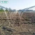 Import Design custom agricultural greenhouses For various vegetables from China