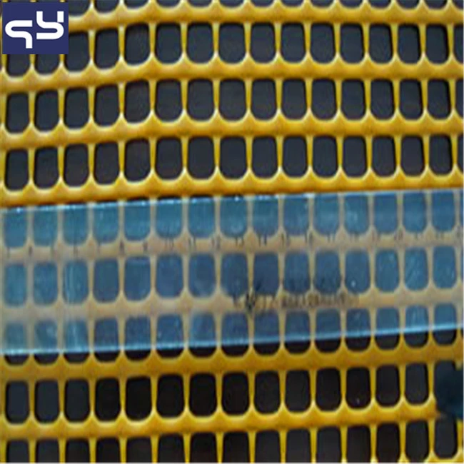 Design for Farm House HDPE Black Plastic Mesh/ Chicken Coop Wire Netting