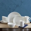 Dishwasher and Microwave Safe American style white bone china 16 pcs Bone China Dinnerware Set