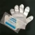 Import Disposable plastic  pe gloves cleaning kitchen glove waterproof Biodegradable with eyelet from China