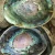 Import DIY Home Decoration Natural Conch Craft Sea Beach Raw Abalone Shell from China