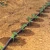 Import drip tape irrigation system for agriculture irrigation from China