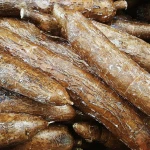 Eu standard quality 680 tons FRESH CASSAVA / TAPIOCA STARCH FOR SALE