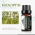 Import Eucalyptus Essential Oils Pure Natural 10ML Pure Essential Oils Aromatherapy Diffusers Oil Relieve Stress Home Air Care from China
