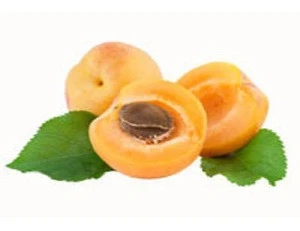 Extra Quality Apricot Affordable Price
