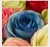 Import Factory Artificial Flower Pink Rose Bouquet For Artificial Flowers Wedding Party Decoration White Silk Rose Flower from China