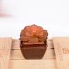 Factory cheap price natural artificial succulent potted plant for home and office decoration