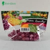 Factory directly sale fresh grape fruit stand up pouch bag ziplock handle for grape
