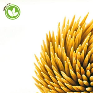 Factory Outlet Bamboo Toothpick From China