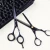 Import Factory Price Hot Sale Barber Scissors Set Home Using Set Hair Cutting Scissors from Pakistan