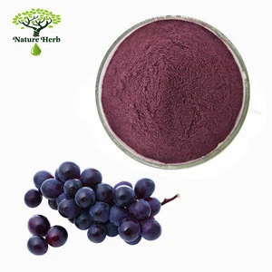 Factory Supply Instant Fresh Grape Fruit Powder