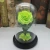 Import Factory Wholesale High quality Glass Dome with Rose Preserved Fresh Flower Immortal Rose Eternal Life Rose in Glass Dome from China