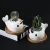 Import Factory wholesale unicorn flower pot  animal ceramic succulent Plant pot with tray from China