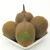 Import Farm supply high quality fresh kiwi fruit without swelling agent from China