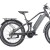 Fat Tire Mountain Electric Bicycle 48V500W/1000W