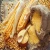 Import Feed Grade Yellow Corn / Yellow Maize / Yellow Corn Grains from Ukraine