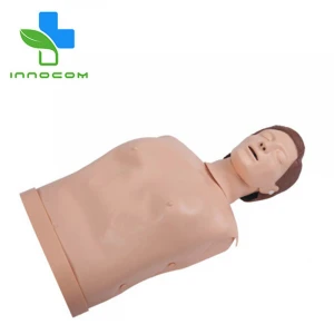 First Aid Magnified Human Simulator Realistic Medical Teaching Emergency Half Body CPR Manikin Model for Educational Training