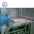 Import Fish fillet iqf continous individual fast freezing machine food quick tunnel equipment flash freezer for fish from China