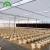 Import Food-Grade Material Hydroponic Dutch Bucket from China