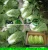 Import Fresh cabbage/Chinese cabbage from China
