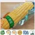 Import Fresh canned sweet corn 220g with vacuum bag for instant food from China