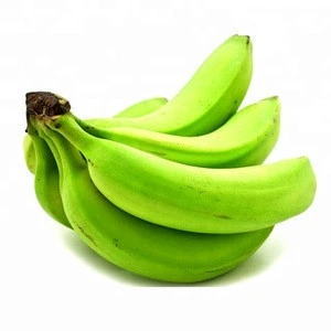 Fresh Green Cavendish Bananas / Cavendish Banana / Green Cavendish Banana