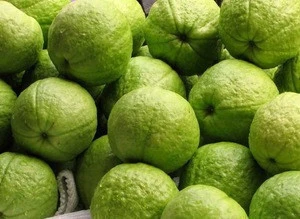 Fresh Guava - high quality for sale