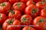 Fresh Indian Tomatoes