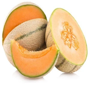 Fresh Musk Melon,sweet honeydew melon,Cantaloupe Melon (Musk melon / Spanspek) for sale
