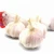 Import Fresh normal white garlic 4.5/5.0/5.5/6.0/6.5cm from China