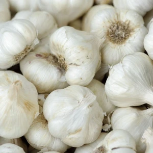 Fresh Normal White Garlic (in 10kg/Mesh Bag)