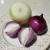 Import Fresh Onions are red and yellow and cheap from China