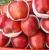 Import Fresh red apple/new good cold stock/fuji small size from China
