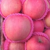 Fresh royal gala apple price/ iranian fresh apple in China