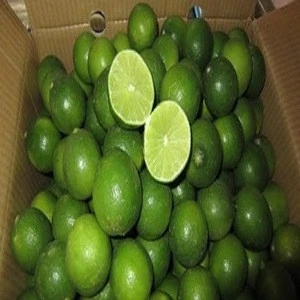 Fresh seedless lime