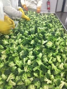 Frozen Organic Broccoli bottom price new crop