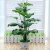 Import fzzw003 Factory wholesale simulation rush bonsai bulrush mini reed artificial succulent plants with pot from China