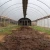 Import glass garden greenhouse plastic film green house greenhouses from China