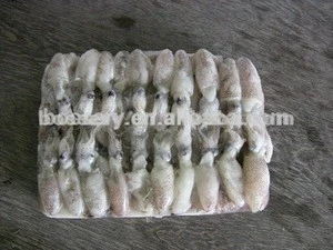 Good price frozen baby squid Loligo Japonica for sale